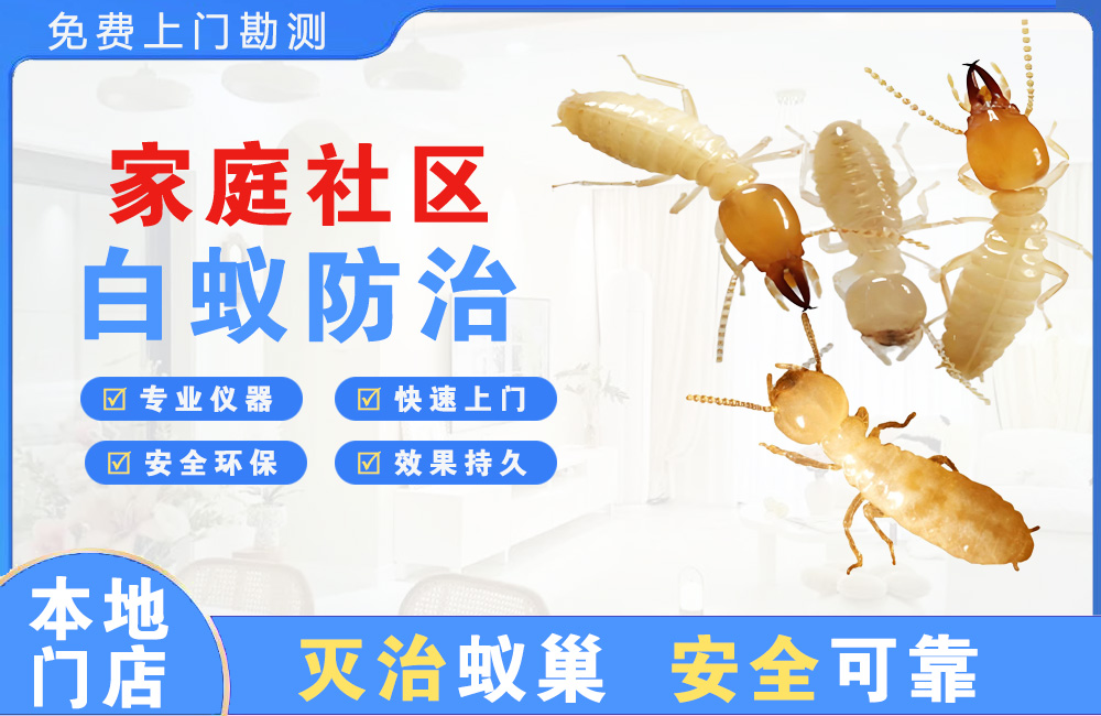 内江家庭社区白蚁防治
