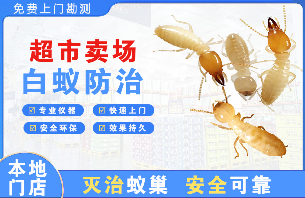 内江超市卖场白蚁防治