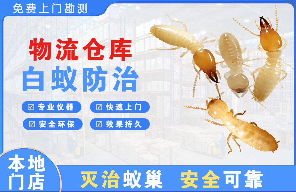 内江物流仓库白蚁防治