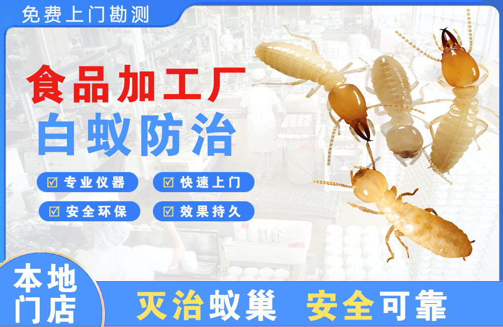 内江食品加工厂白蚁防治