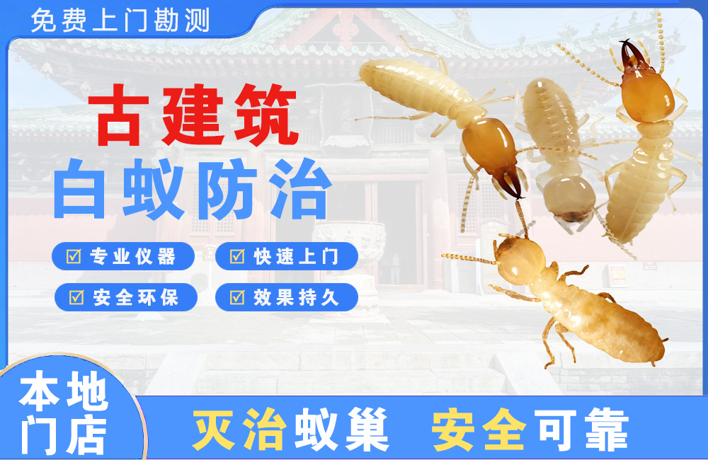 内江古建筑白蚁防治