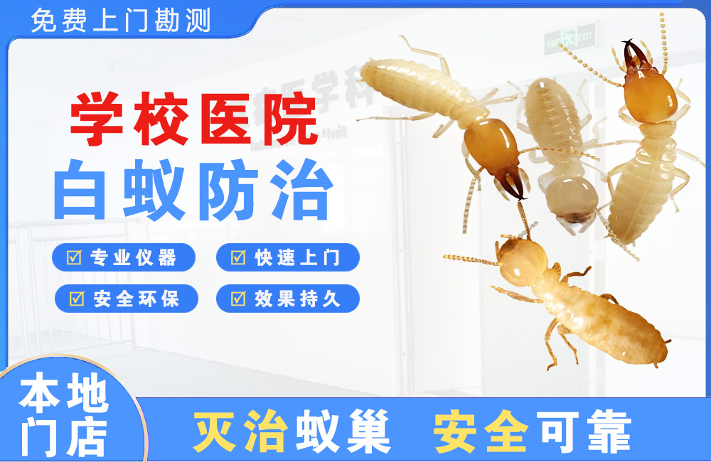 内江学校医院白蚁防治