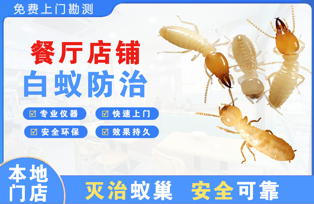 内江餐厅店铺白蚁防治